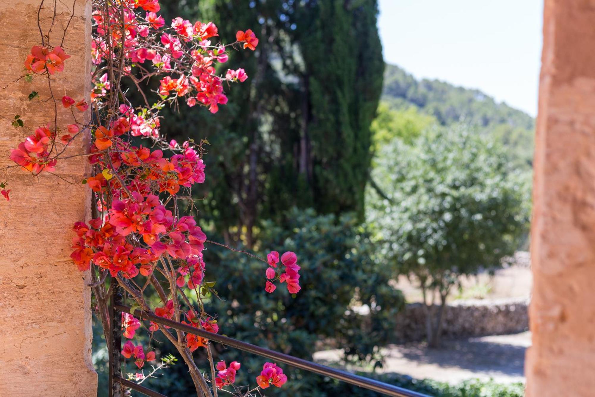 Fangar Agroturismo Campanet Luaran gambar