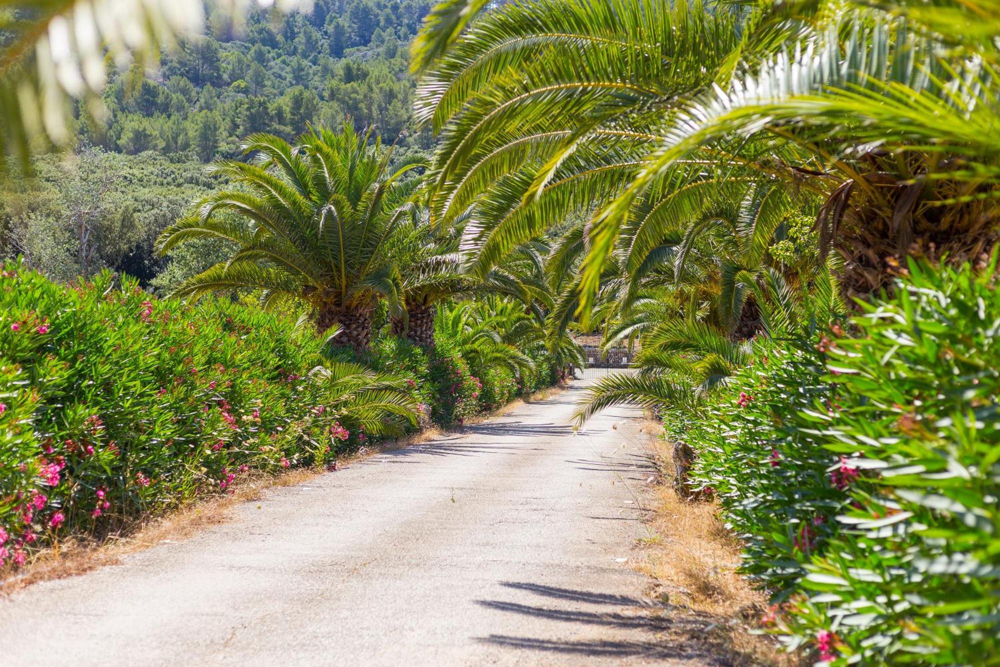 Fangar Agroturismo Campanet Luaran gambar