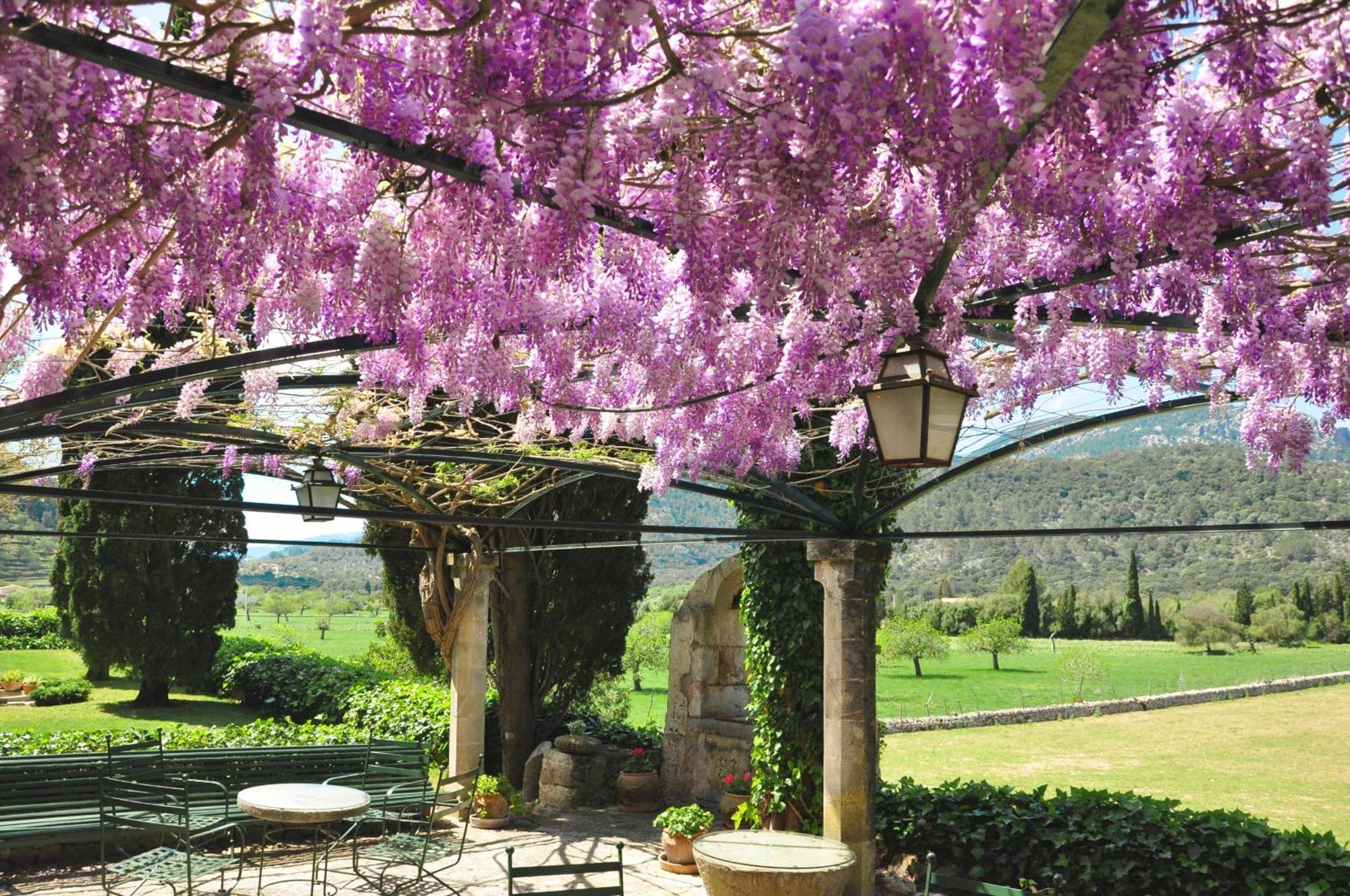 Fangar Agroturismo Campanet Luaran gambar